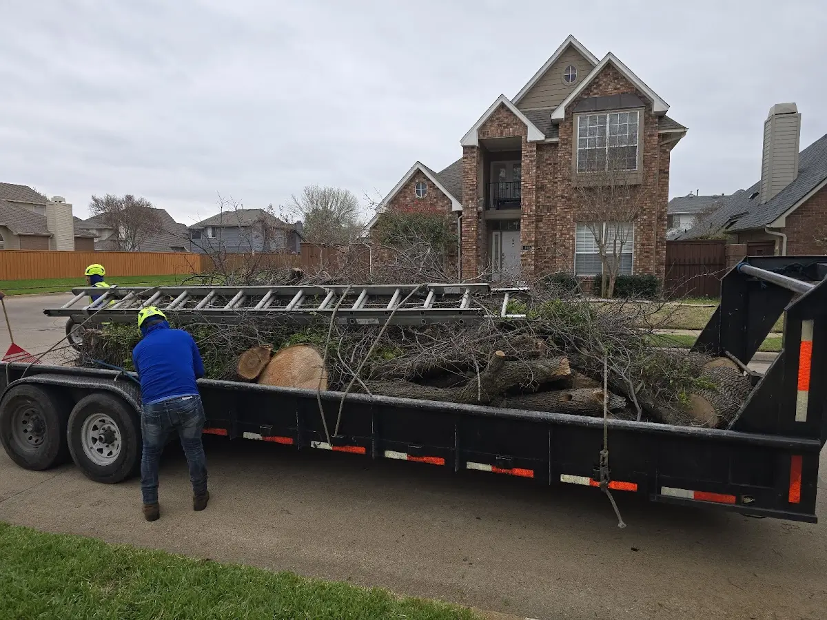 Expert Tree Fertilization with proper safety equipment in Green Valley